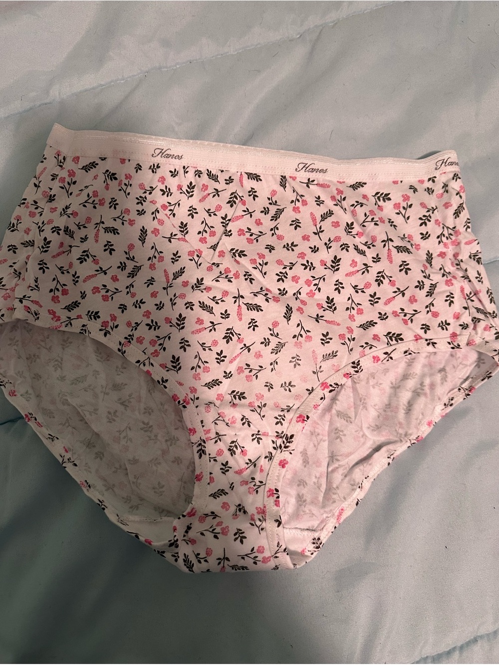 Hanes Women’s Underwear